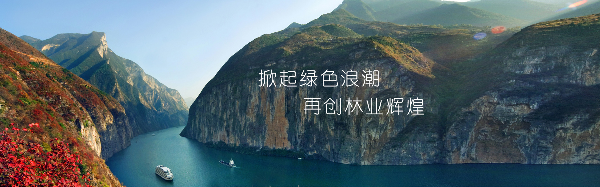 28圈体育2